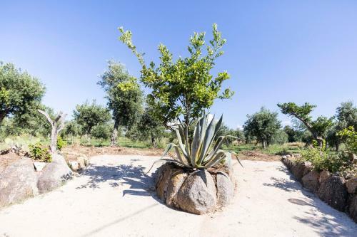 Bed & Breakfast Feudo Di Villa Anticaglia