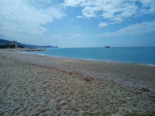 Apartamento Brolium