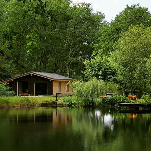 Bed & Breakfast Palika Lodge