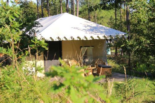 Bed & Breakfast Palika Lodge