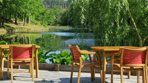 Bed & Breakfast Palika Lodge