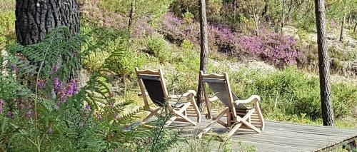 Bed & Breakfast Palika Lodge