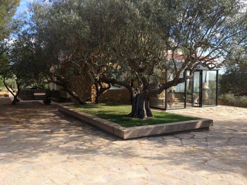 B&B La Collegiata