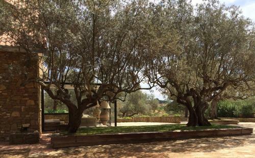 B&B La Collegiata