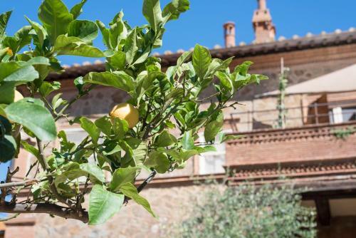Villa Fattoria Pian Di Rocca