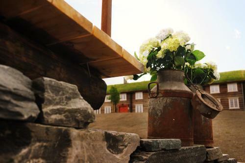 Bed & Breakfast Bjerkel�kkja