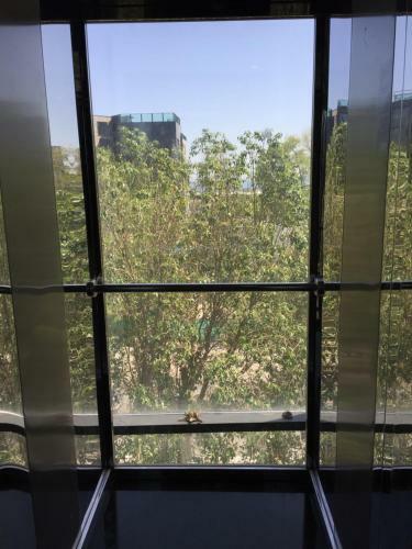 Apartament Anastasia Mamaia