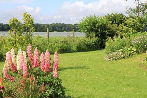 Bed & Breakfast Chambre D'hotes Le Clos Fleuri
