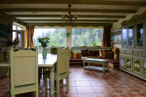 Hostal Vila Horia Bradet