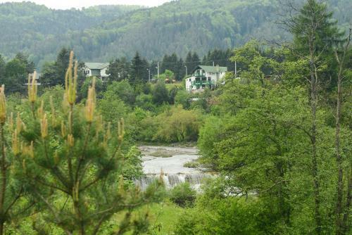Hostal Vila Horia Bradet