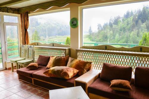 Hostal Vila Horia Bradet