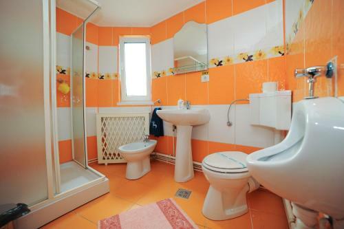 Hostal Vila Horia Bradet