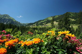 IFA Hotel Alpenhof Wildental