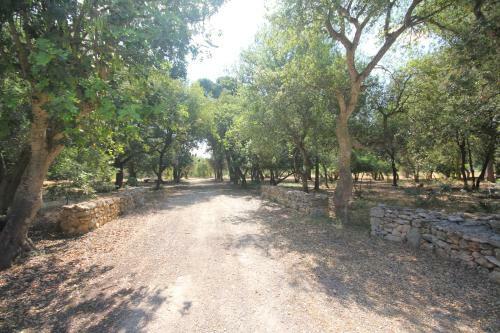 Agroturismo Tenuta Ferraro