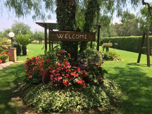 Bed & Breakfast Casale Del Borgo