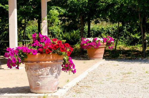 Bed & Breakfast Casa Cerqua Landi