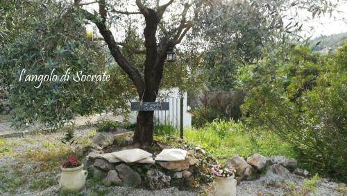 Bed & Breakfast Casa Cerqua Landi