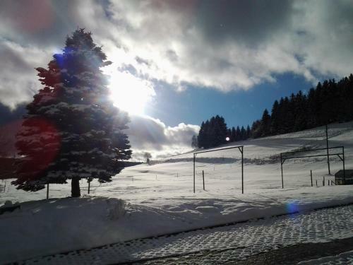Apartamento Tannenhof