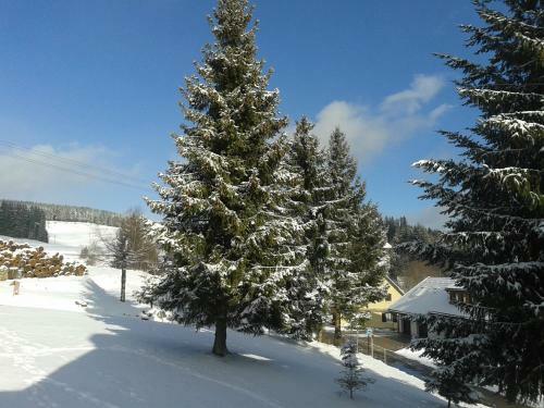 Apartamento Tannenhof