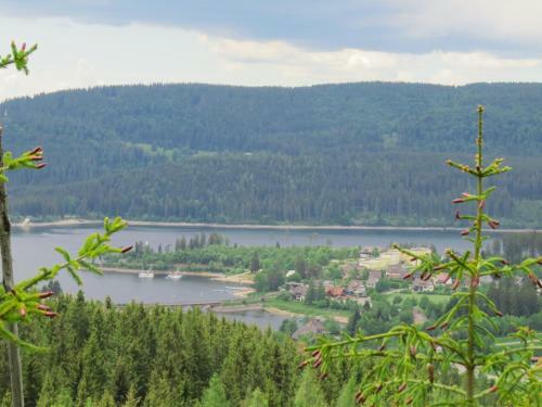Apartamento Tannenhof