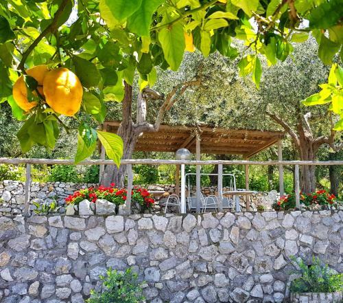 Bed & Breakfast Villa Raf