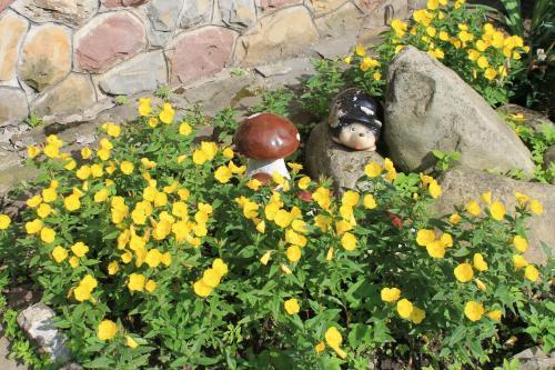Hostal Cottage U Yaremy Mykulychyn