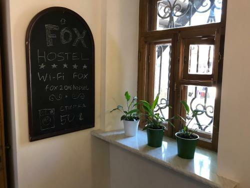Fox Hostel