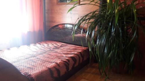 Hostal Dobryy Nizhniy