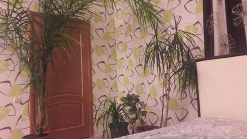 Hostal Dobryy Nizhniy