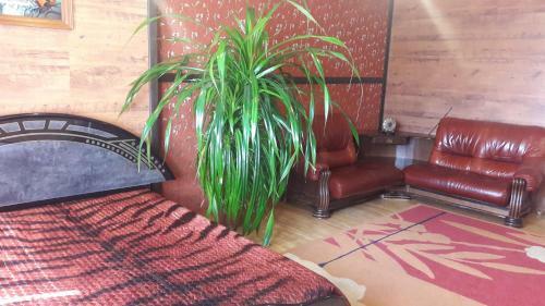 Hostal Dobryy Nizhniy