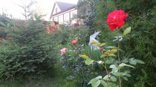 Hostal Dobryy Nizhniy