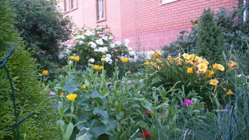 Hostal Dobryy Nizhniy