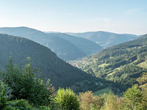 Apartamento Todtnauberg