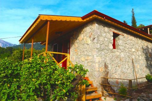 Hostal Faralya Yoruk Evi Hotel