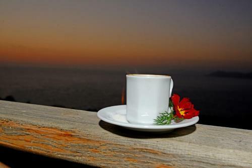 Hostal Faralya Yoruk Evi Hotel