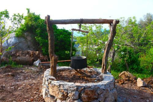 Hostal Faralya Yoruk Evi Hotel