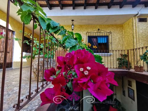 Albergue Maison Bougainvillea