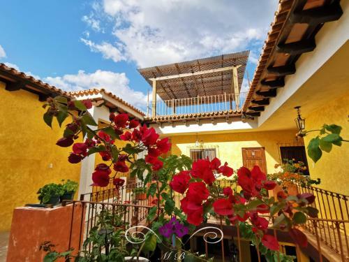 Albergue Maison Bougainvillea