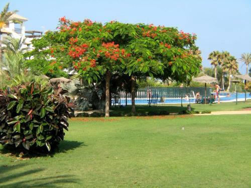 Apartamento Venavera Playa Jardines C1-1b