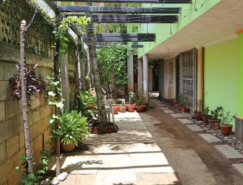 Bed & Breakfast Hostal San Antonio