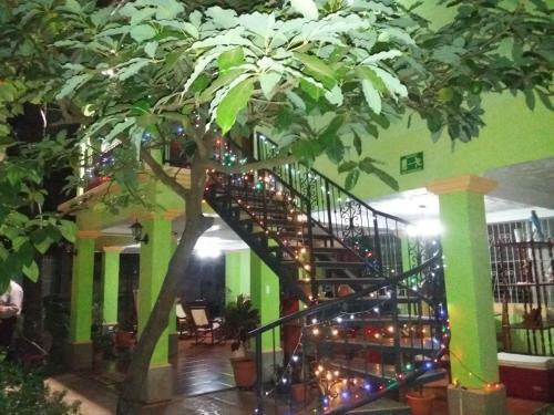 Bed & Breakfast Hostal San Antonio