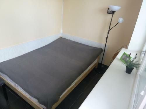 Razliv Zaliv Hostel & Hotel