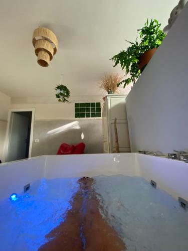 Le Palombelle Casa Vacanze