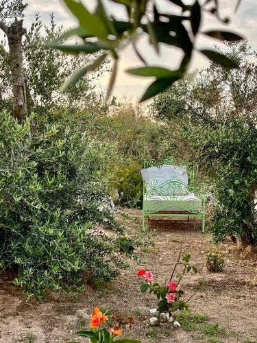 Le Palombelle Casa Vacanze