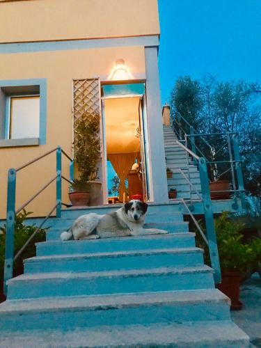 Le Palombelle Casa Vacanze