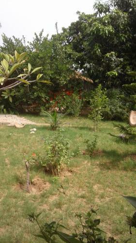 Lodge The Plantation Gambia