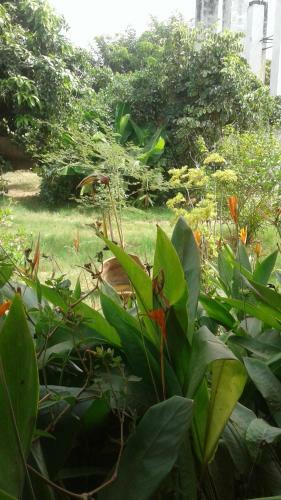 Lodge The Plantation Gambia