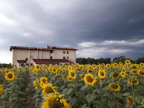 Agroturismo Al Cavaliere