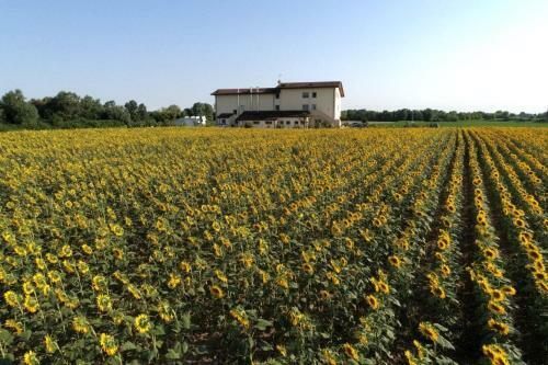 Agroturismo Al Cavaliere