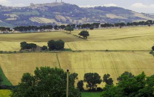 B&B Lieti Colli